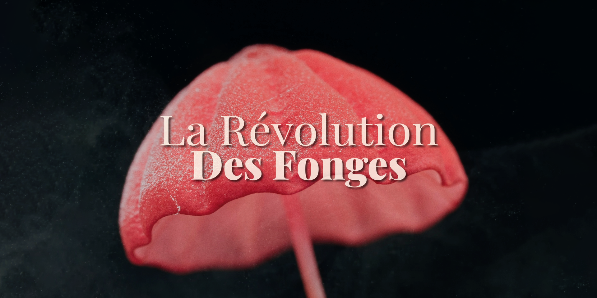 Image principale promo La Révolution Des Fonges